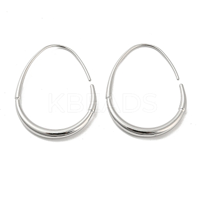 Non-Tarnish 304 Stainless Steel Dangle Earrings LS-EJEW-G368-06P-1