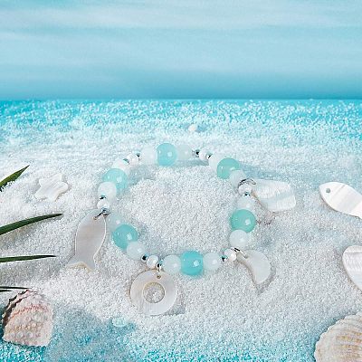 Natural Freshwater Shell Charms/Pendants SHEL-NB0001-03-1