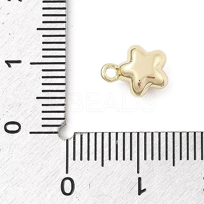 Brass Charms KK-S514-06B-G-1