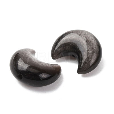 Natural Silver Obsidian Beads G-A310-02-1