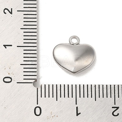 304 Stainless Steel Charms STAS-L022-278P-1