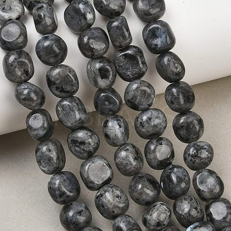 Natural Larvikite Beads Strands GG-CBA787B-A37-1