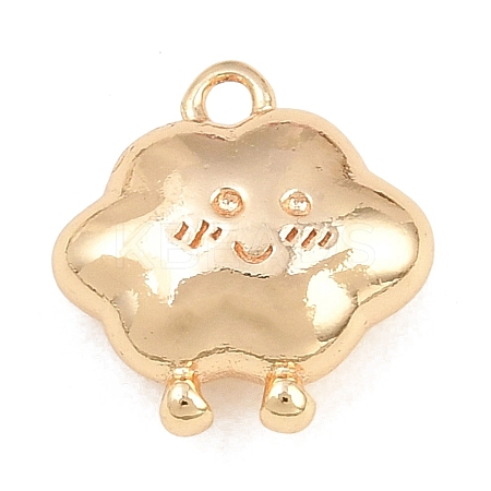 304 Stainless Steel Charms SA-CBA4377-02C-G-1
