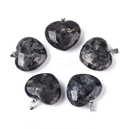 Natural Larvikite Pendants G-N349-05A-P-1