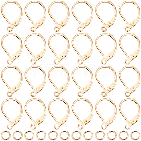 30Pcs 304 Stainless Steel Leverback Earring Findings STAS-BBC0009-22-1