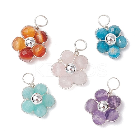 Natural Amazonite & Apatite & Rose Quartz & Amethyst & Red Agate Faceted Round Beaded Pendants PALLOY-JF03606-02-1