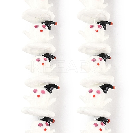Handmade Lampwork Beads Strands LAMP-P066-05-1