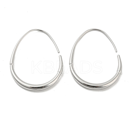Non-Tarnish 304 Stainless Steel Dangle Earrings LS-EJEW-G368-06P-1