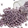 TOHO 6/0 Round Beads SEED-XTR06-PF0554-1