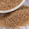 MIYUKI Round Rocailles Beads X-SEED-G009-RR0580-4