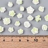 Luminous Flower Resin Cabochons CRES-T025-10G-3