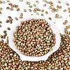 Picasso Glass Seed Beads SEED-N012-10D-2