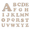 26 Letters Cloth Iron/Sew on Patches PJ-TAC0004-04B-1