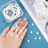 3 Strands Natural Freshwater Shell Beads Strands SHEL-CN0001-01-3