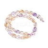 Natural Ametrine Beads Strands G-B125-K01-01-3