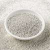 MIYUKI Round Rocailles Beads SEED-X0056-RR0001-2