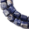 Natural Sodalite Beads Strands G-R015-A03-4
