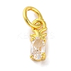Rack Plating Brass Micro Pave Cubic Zirconia Charms KK-F881-03G-04-1