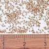 MIYUKI Delica Beads SEED-X0054-DB1221-4