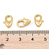 SHEGRACE Brass Lobster Claw Clasps XGR0013P-06P-2