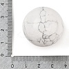 Natural Howlite Sphere Beads G-I367-05D-2