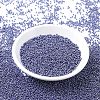 MIYUKI Round Rocailles Beads X-SEED-G007-RR0434-2