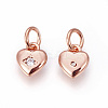 Brass Micro Pave Cubic Zirconia Charms ZIRC-F095-04RG-2