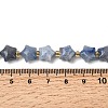 NaturalBlue Aventurine Beads Strands G-Z080-A28-10mm-5