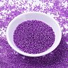 MIYUKI Delica Beads SEED-X0054-DB1345-2
