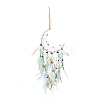 Moon Woven Net/Web with Feather Pendant Decoration HJEW-I013-04-2