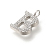 304 Stainless Steel Micro Pave Cubic Zirconia Pendants STAS-H228-06P-B-2