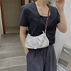 2Pcs 2 Colors Purse Chains DIY-WR0003-25-5