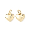 Brass Pendants KK-D386-06G-1