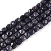 Natural Sapphire Beads Strands G-N342-111-1