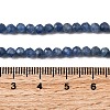 Natural Kyanite Beads Strands G-F799-E01-4mm-5