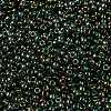 MIYUKI Round Rocailles Beads SEED-X0055-RR2446-3