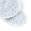 Frosted Glass Seed Beads SEED-N012-01B-1