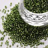 Glass Cylinder Beads SEED-S047-R-013-1