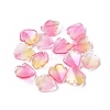 Transparent Glass Charms GLAA-H016-03C-10-1