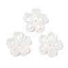Natural White Shell Carved Beads SSHEL-I026-12D-05-1