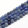 Dyed & Heated Natural Blue Aventurine Beads Strands X-G-R445-8x10-27-1