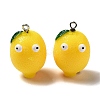 Cartoon Opaque Resin Fruit Pendants CRES-B018-03-1