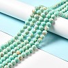 Synthetic Turquoise and Sea Shell Assembled Beads Strands G-D482-01C-08-1