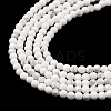 Natural Howlite Beads Strands G-E608-A01-A-4