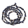 Natural Sodalite Chips Beads Strands X-F024-8