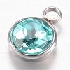 304 Stainless Steel Glass Rhinestone Charms STAS-G082-01-2