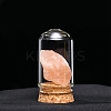 Raw Natural Gemstone Nuggets Ornaments PW-WG13785-07-1