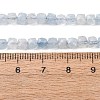 Natural Aquamarine Beads Strands G-L587-C02-01-8