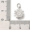 Rack Plating Brass Micro Pave Cubic Zirconia Charms KK-I720-37P-3