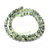 Natural Prehnite Beads Strands G-K224-03-6mm-2